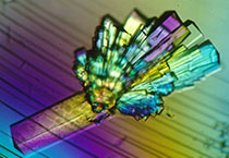 HJC黄金城平台副总裁金晓玮博士等一行出席了在上海举办的中国科学技术大学校友会沙龙