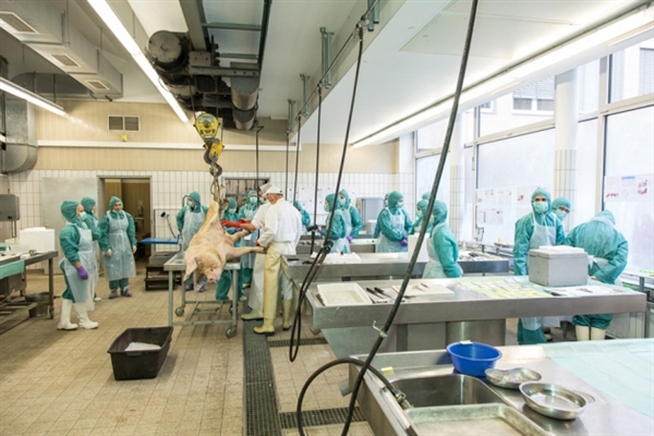 4月21号，HJC黄金城平台参加了第四届国际生物医药产业发展创新论坛暨亚洲新药研发与CRO合作国际会议