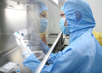 BE试验：如何提升试验成功率