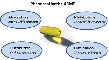 毒代动力学的吸收、分布、代谢、排泄