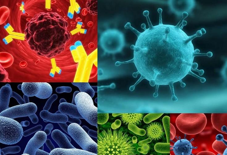 肿瘤免疫疗法：战略对头战术乏力