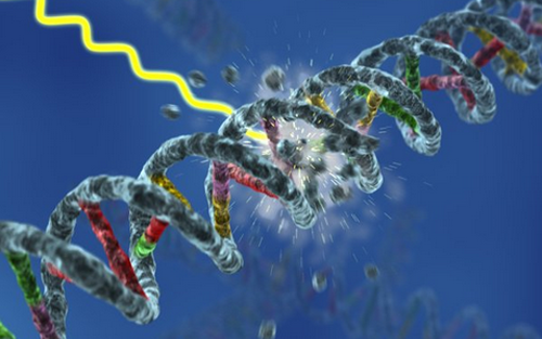 Nature：癌症治疗发现新靶点