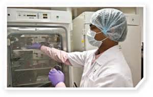 Science：癌症免疫疗法“新靶点”——Cdk5