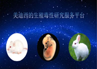 HJC黄金城平台的生殖毒性研究服务平台