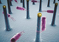 未来的药丸里，可能有一万亿个人工改造的细菌？