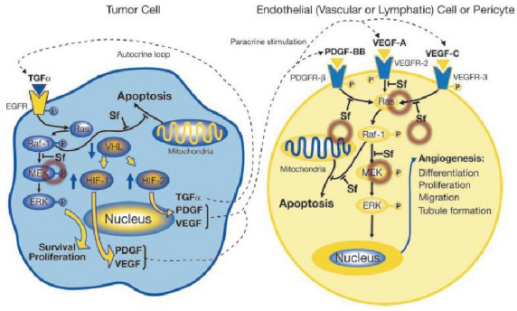 多靶点药物：创新药物设计的重要思路