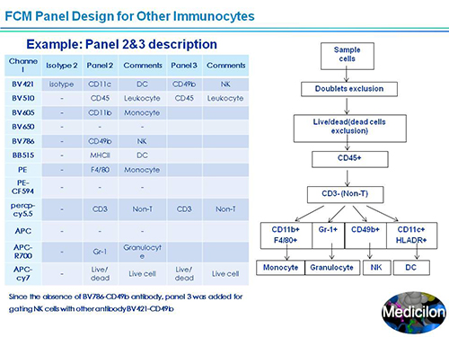 HJC黄金城平台副总裁汪俊博士SAPA-DC会议演讲PPT