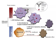 浅析：ADC药物的抗癌之路