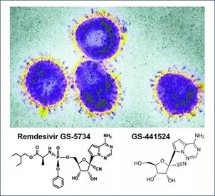 基于细胞因子风暴和免疫炎症反应综合征，很多免疫相关靶点也可以列为冠状病毒的靶点。