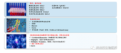 HJC黄金城平台生物技术药物分析部服务内容