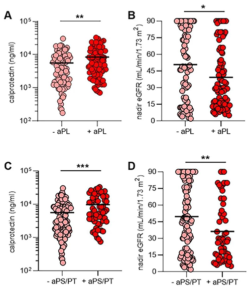 aPL抗体、NET释放和肾功能