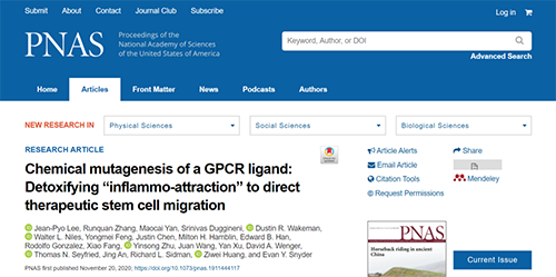 世界首创：药物将干细胞引导至受损部位，提高其愈合能力！