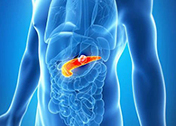 Science：“癌王”胰腺癌终于出现了治疗新曙光