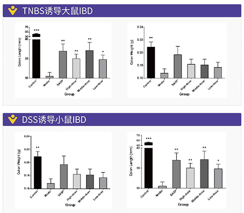 TNBS诱导的大鼠IBD、DSS诱导的大鼠IBD
