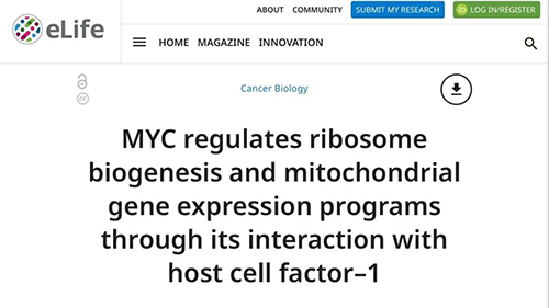 可以“融化”肿瘤的蛋白质，你一定没有听说过！