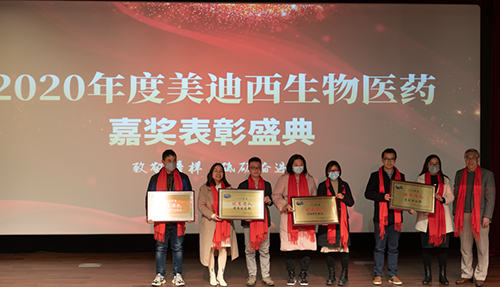 HJC黄金城平台2020年度优秀团队奖