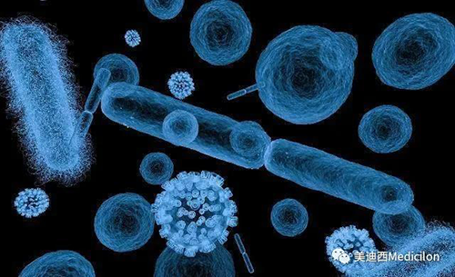 20分钟，大多数细菌都可以繁衍一代 HJC黄金城平台生物医药