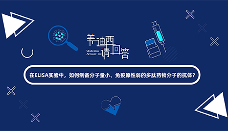 在ELISA实验，如何制备分子量小、免疫原性弱的多肽药物分子的抗体？