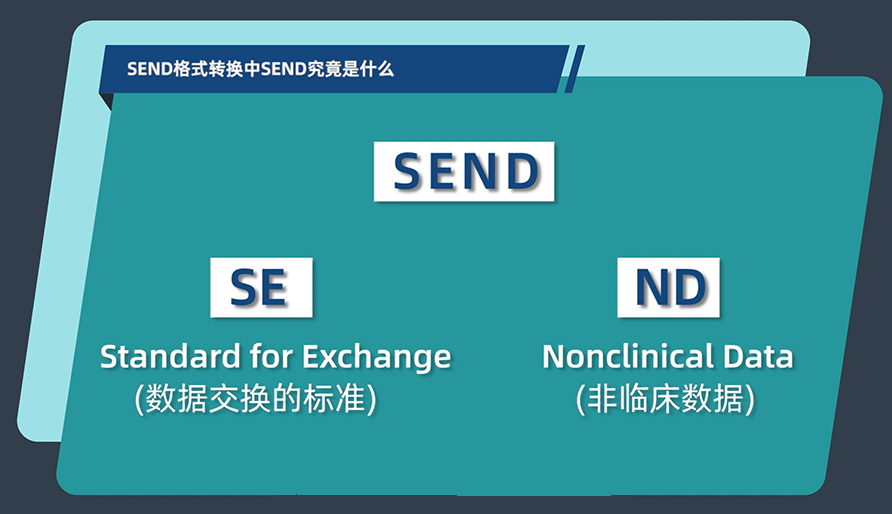 SEND格式转换中的SEND究竟是什么？