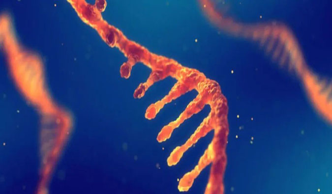 赋能核酸药物疗法，迎接新药研发第三次浪潮