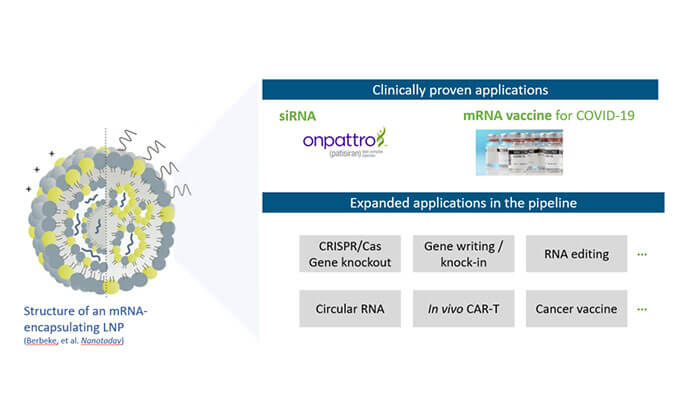 【专家报告】张翼博士：阳离子脂质高通量定制化筛选