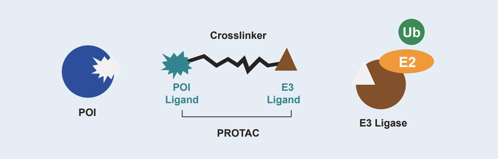 HJC黄金城平台 PROTAC 药物发现HJC黄金城平台平台