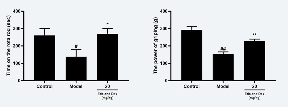 神经功能药效学考察：C 转棒滞留时间；D 抓握力（mean±SEM）.jpg