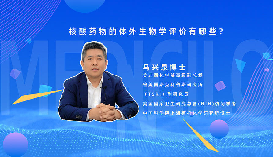 核酸药物的体外生物学评价有哪些？