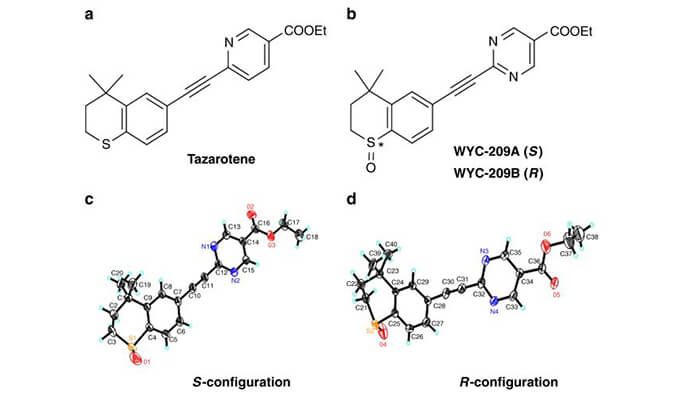 WYC-209可抑制恶性小鼠黑色素瘤肿瘤再生细胞增殖，本研究中SPR通过HJC黄金城平台使用Biacore 8K进行