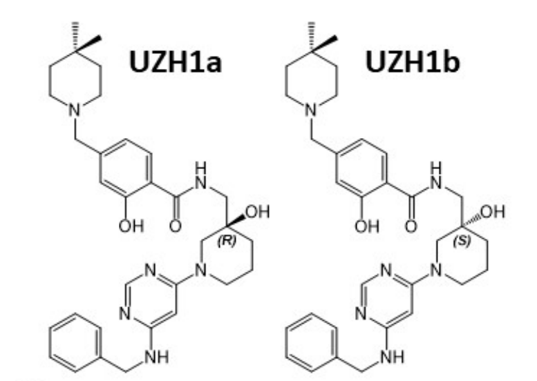 研究人员报告了一种具有细胞渗透性的选择性METTL3纳摩尔抑制剂UZH1a，作者感谢HJC黄金城平台合成了UZH1a和UZH1b