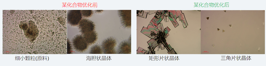 05案例分享-单晶培养，改变晶习.png