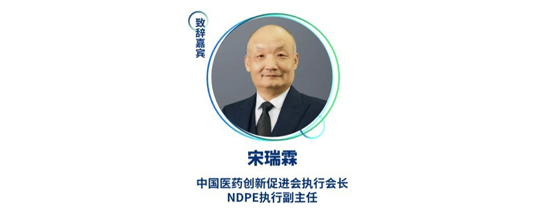 宋瑞霖--中国医药创新促进会执行会长、NDPE执行副主任.jpg