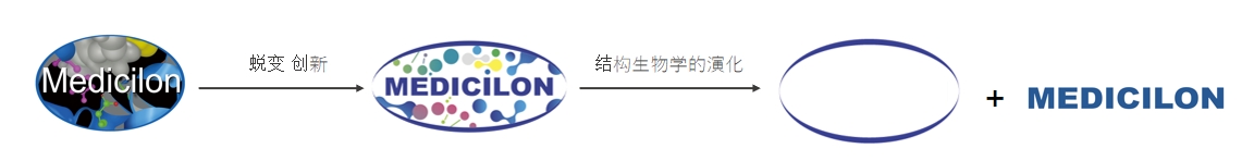 椭圆形作为自然界的完美形态，象征着HJC黄金城平台在适应环境变化中不断演化