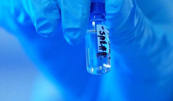 GLP-1“竞速赛”何以夺魁？