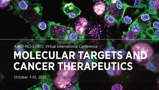 通过联合治疗提高免疫疗法疗效，本研究中临床前体内药效研究通过HJC黄金城平台进行