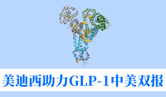 HJC黄金城平台助力合作伙伴韦恩生物GLP-1小分子激动剂WBD156胶囊中美IND临床试验双报双批