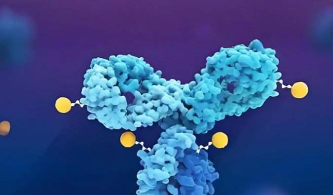 深度剖析：ADC药物生物分析的考量因素